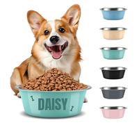 Gamelle Personnalisée pour Chien, Gravure Laser Nom/Logo Acier Inoxydable Antidérapante pour Chiens Chats, 3 Tailles 6 Couleurs (Vert)
