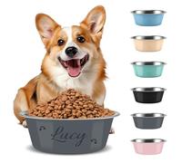 Gamelle Personnalisée pour Chien, Gravure Laser Nom/Logo Acier Inoxydable Antidérapante pour Chiens Chats, 3 Tailles 6 Couleurs (Gris)