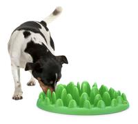 Gamelle plateau anti glouton 40 cm pour chien