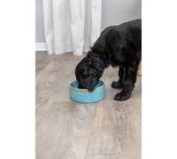 Gamelle pour chien en céramique Trixie Bleu TU