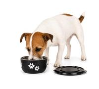 Flamingo Gamelle pour chien Kena inox avec couvercle Noir et Argent Taille S 600 ml