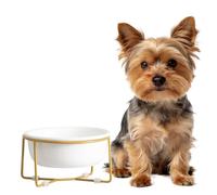 Gamelle pour Chien surélevée avec Support métallique - Bol en céramique pour la Nourriture ou l’Eau - Convient aux Petits Chiens et aux Chats - 400 ML (200 g) - Blanc