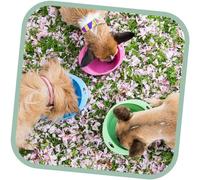 Gamelle pour chien, voyage, BecoBowl Travel-blue M, ECO