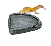 Gamelle pour Reptile, Abreuvoir pour Dragon Barbu, Mangeoire pour Petit Scorpion, pour Éleveurs Propriétaires Passionnés d'animaux Terrarium Enclos Cages Refuges Boutiques Magasins Maison Bureau