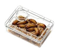 Gamelle Pour Reptiles Anti-Évasion Avec Compartiment