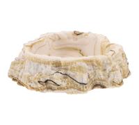 Gamelle pour Reptiles en Résine, Alimentation Facile, Surface Lisse | Caméléons, Réduit L'évasion, Nettoyage Rapide, Usage en Cage ou Habitat Désertique