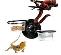 Gamelle pour Reptiles | Mangeoire Murale Amovible avec Ventouse | Gamelle Eau pour Gecko - pour Tortue Lézard Serpent Bernard-Gecko Léopard Grenouille Caméléon Python Araignée