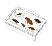 Gamelle Pour Reptiles Mangeoire Transparente Anti-Fuite