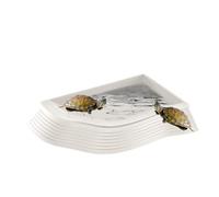 Gamelle pour tortue - 27 cm - Bol d'alimentation pour reptiles, assiette à eau pour terrarium, design multifonction avec base antidérapante et support de bord stable | Gamelle pour reptiles pour