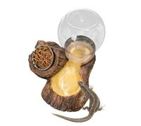 Gamelle repas pour tortue Bol d'eau et de nourriture pour reptile