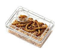 Gamelle Reptiles Avec Compartiment Transparent Et Anti-Fuite