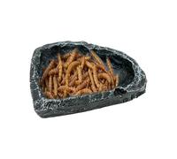 Gamelle Reptiles Récipient Alimentation Reptiles