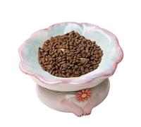 Gamelle surélevée en céramique pour chats avec fleurs, anti-vomissements, inclinée peu profonde pour vivre à la maison, prend en charge un régime alimentaire