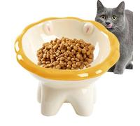 Gamelle surélevée et inclinée pour chat - Gamelle inclinée pour chat - Gamelle inclinée pour chat - Design lion - Gamelle à eau en céramique surélevée - Fournitures pour animaux de compagnie