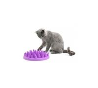 Gamelle Anti Glouton Northmate Catch pour chat