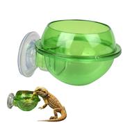 Gamelle transparente pour reptiles, avec ventouse, surélevée, pour dragons barbus, geckos, caméléons - Distributeur automatique de vers vivants dans les terrariums en verre (vert, 1 pièce)