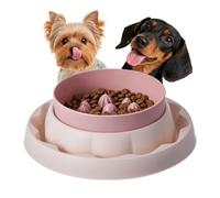 Gamelles de nourriture pour chats à l'épreuve des fourmis, plateau pour | Gamelles pour chats anti-fourmis, 19 x 19 x 6 cm, plateau anti-déversement avec revêtement extra