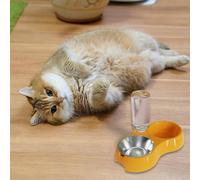 Gamelles multifonctionnelles pour chat et chien - En plastique durable - Pour l'intérieur et l'extérieur - Parfait pour les chats et les chiens (D, 30 x 16 cm)