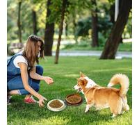 Gamelles pliables pour voyage 2 en 1 en silicone avec fermeture éclair, idéal pour la randonnée, le camping et les voyages, bol portable et chats (D, 19,2 x 15,5 cm)