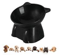 Gamelles surélevées - Gamelle inclinée pour chat avec support surélevé | Gamelle d'eau anti-vomissements, repas sans stress, fatigue du cou, support de nourriture pour animaux domestiques, solution