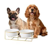 Gamelles surélevées pour Chiens avec Support métallique - Double Bol en céramique pour Nourriture et Eau - pour Chiens de Petite et Moyenne Taille - 600 ML × 2 - Blanc