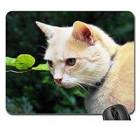 Gamer Mouse Pad, Chat À Fourrure Tomcat Rouge Mieze Animal De Compagnie Surveillé Tapis De Souris Antidérapante Tapis De Souris D'Ordinateur Optimisé Souris De Gaming pour Jeux 25X30Cm
