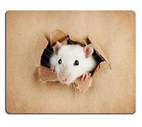 Gamer Mouse Pad, Drôle De Petit Rat sur Fond De Papier Tapis De Souris Gamer Moderne Souris De Bureau Résistant À Usure Tapis Souris pour Pc Souris 25X30Cm