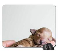 Gamer Mouse Pad, Main Palm Chiot Chien Animal Dormir Tapis De Souris Antidérapante Mousepad Résistant À Usure sous Main Bureau pour Souris Ordinateur Jeux 25X30Cm