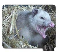 Gamer Mouse Pad, Opossum Possum Dents Fourrure Animal Nid Paille en Colère Tapis De Souris Gamer Antidérapante Tapis De Souris Confort sous Main Bureau pour Pc Souris Jeux 25X30Cm