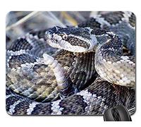 Gamer Mouse Pad, Serpent Serpent À Sonnette Hochet Langue Glissante du Désert Gaming Mousepad Antidérapante Tapis De Souris Gamer Résistant À Usure Souris De Bureau pour Ordinateur Pc 25X30Cm