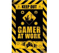 Gameration - Gamer at Work - Jeu vidéo - Impression de poster - Taille 61x91,5 cm