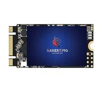 GAMERKING Disque SSD M.2 2242 256 Go 3D NAND TLC SATA III 6 Go/s, disque SSD interne - Compatible avec ordinateur de bureau et ordinateur portable (2242 256 Go)