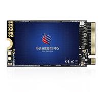 GAMERKING M.2 2242 NVMe SSD 1 To PCIe Gen3x4 3D NAND TLC Disque SSD interne haute performance 42 mm pour Ultrabook de bureau Notebook PC (1 To 2242 NVMe PCIe3.0)
