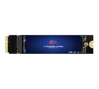 GAMERKING Mise à niveau SSD 256 Go pour MacBook Air mi-2012 A1465 (EMC 2558), A1466 (EMC 2559), disque SSD de rechange haute performance (MacOS pré-installé)