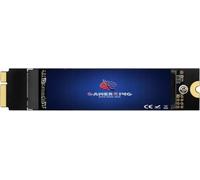 GAMERKING SSD 256 Go Disque dur interne Mise à niveau