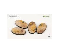 Gamers Grass Deserts of Maahl Bases ovales 60 mm