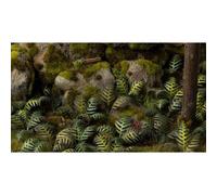 Gamers Grass Laser Plants Bracken