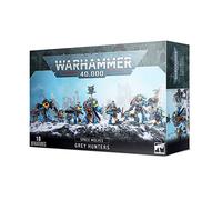 Warhammer 40k - Space Wolves Chasseurs Gris