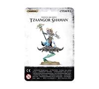 Warhammer AoS & 40k - Tzeentch Arcanites Tzaangor Shaman