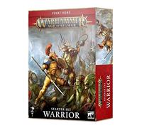 Games Workshop Warhammer AoS - Boite de Jeu/Age of Sigmar V3 Guerrier (FR) Noir