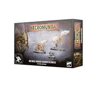 Games Workshop - Warhammer - Necromunda : Nomades Ashwing Helamites