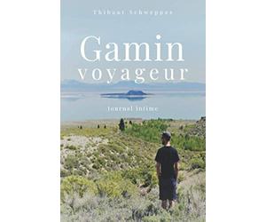 Gamin voyageur: Journal intime d'un blogueur voyage