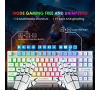 Gaming Keyboard 60% 87 Keys Mechanical Feel Multicolor RGB LED Backlit Wired Anti-ghosting Keyboard TKL PBT Mini Keys Waterproof for PC/Laptop/Computer White