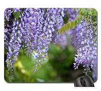 Gaming Mousepad, Acacia Glycine Glycine Fleurs Arbre MOV Printemps Tapis De Souris De Jeu Antidérapante Tapis De Souris Gamer Stable Souris De Bureau pour Jeux Pc Professionnels 25X30Cm