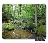 Gaming Mousepad, Arbre Plante Arbres Karlstal Bach Tapis Souris Antidérapante Tapis De Souris D'Ordinateur Moderne Souris De Bureau pour Ordinateur Professionnels Souris 25X30Cm