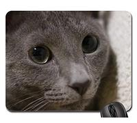 Gaming Mousepad, Chat Bleu Russe Kitty Kitten Soft Grey Sleepy 4 Tapis Souris Antidérapante Tapis De Souris Bords Cousus Souris De Bureau pour Pc Professionnels Ordinateur 25X30Cm