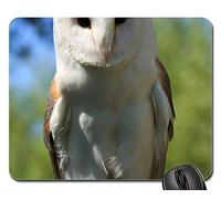Gaming Mousepad, Hibou Oiseau Effraie des Clochers Close-Up Détails Plumes Mouse Pad Antidérapante Mousepad Résistant À Usure Tapis De Bureau pour Jeux Professionnels Pc 25X30Cm