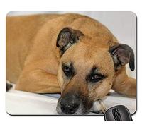 Gaming Mousepad, Noir Noir Bouche Cur Chien Brun Chien De Sauvetage Mouse Pad Antidérapante Mousepad Confort Tapis De Gaming pour Professionnels Ordinateur Souris 25X30Cm