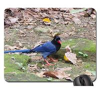 Gaming Mousepad, Pie Bleue Mère des Montagnes À Longue Queue Tapis De Souris De Jeu Antidérapante Tapis De Souris D'Ordinateur Bords Cousus Tapis De Gaming pour Ordinateur Pc Souris 25X30Cm