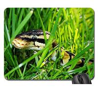 Gaming Mousepad, Serpent Ball Python Jardin Camouflage Fourrage Gamer Mouse Pad Antidérapante Tapis De Souris D'Ordinateur Moderne Souris De Gaming pour Professionnels Pc Souris 25X30Cm
